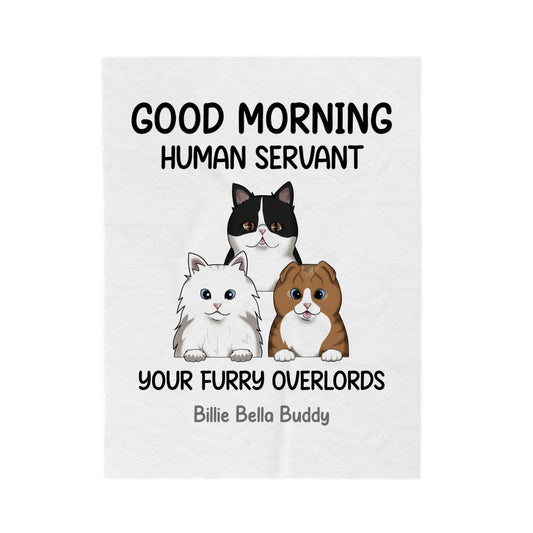 Customized Velveteen Plush Blanket - Good Morning Human Servant